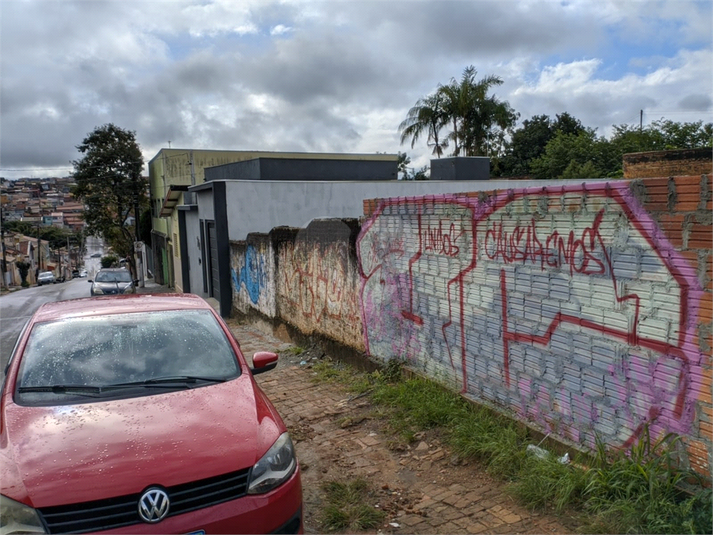 Foto REO1121181