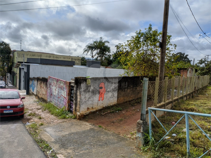 Foto REO1121181