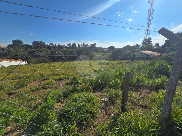 Foto REO1121184