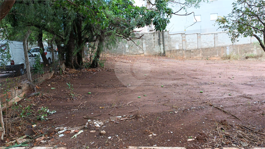 Foto REO1121187