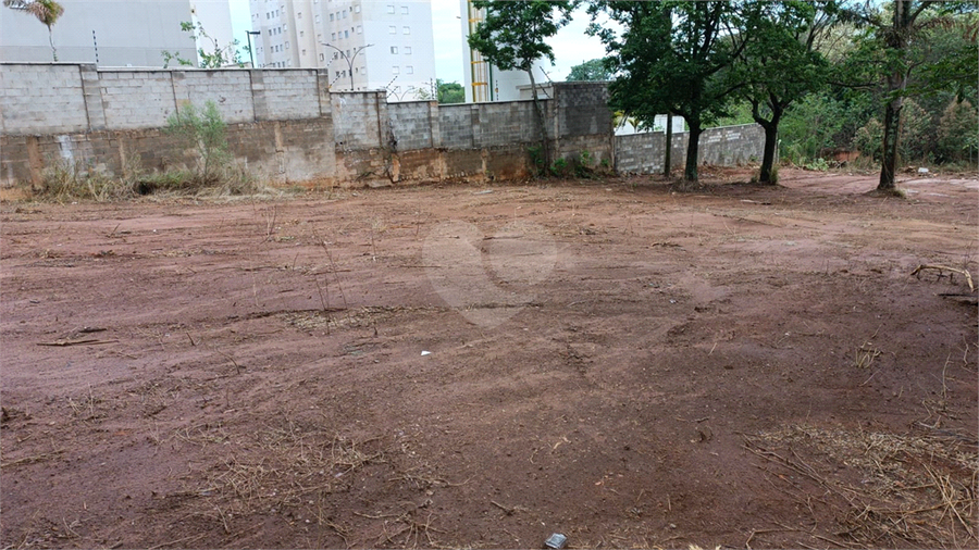 Foto REO1121187