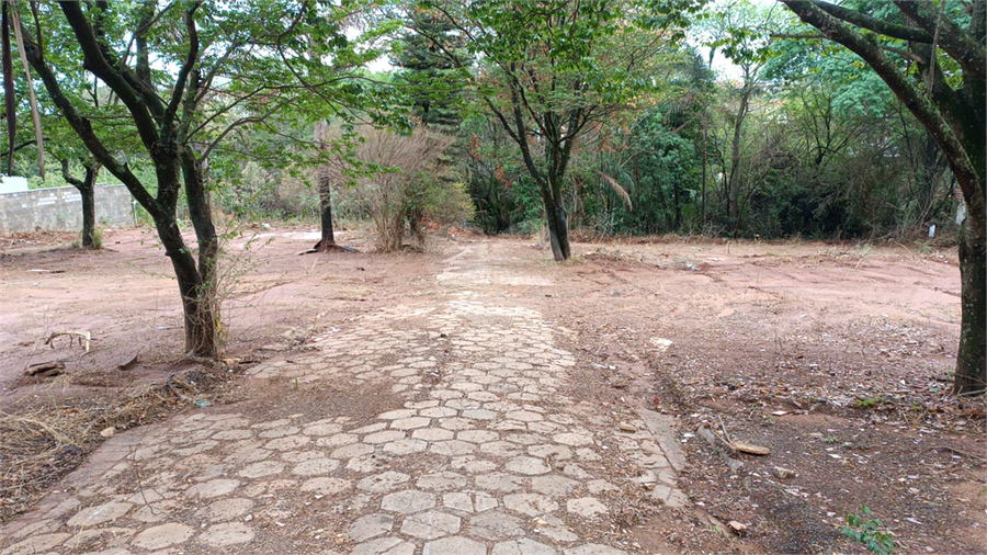 Foto REO1121187