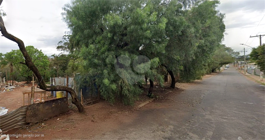 Foto REO1121187