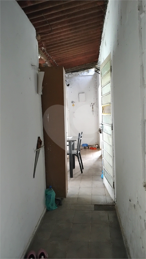 Foto REO1121190