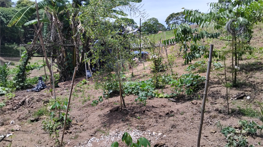 Foto REO1121190
