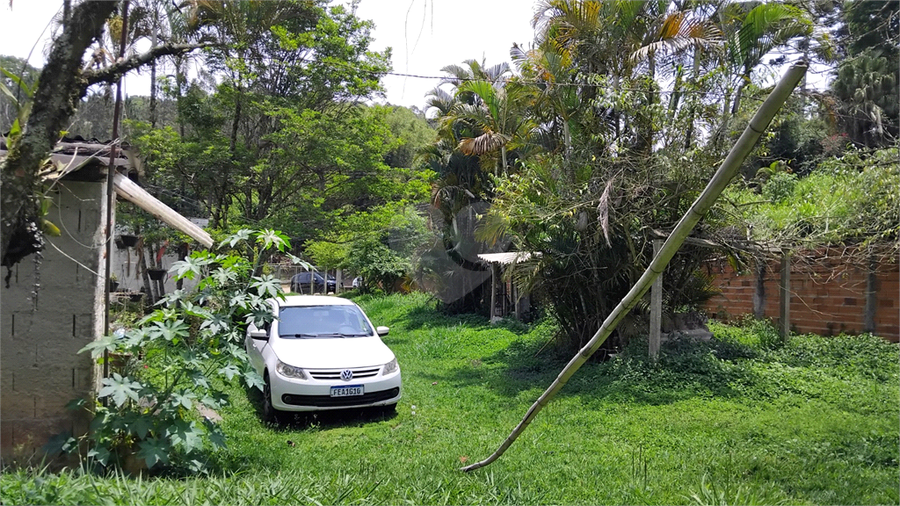 Foto REO1121190