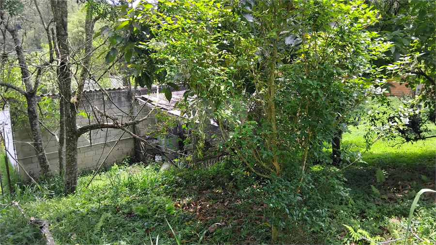 Foto REO1121190