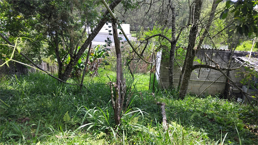 Foto REO1121190