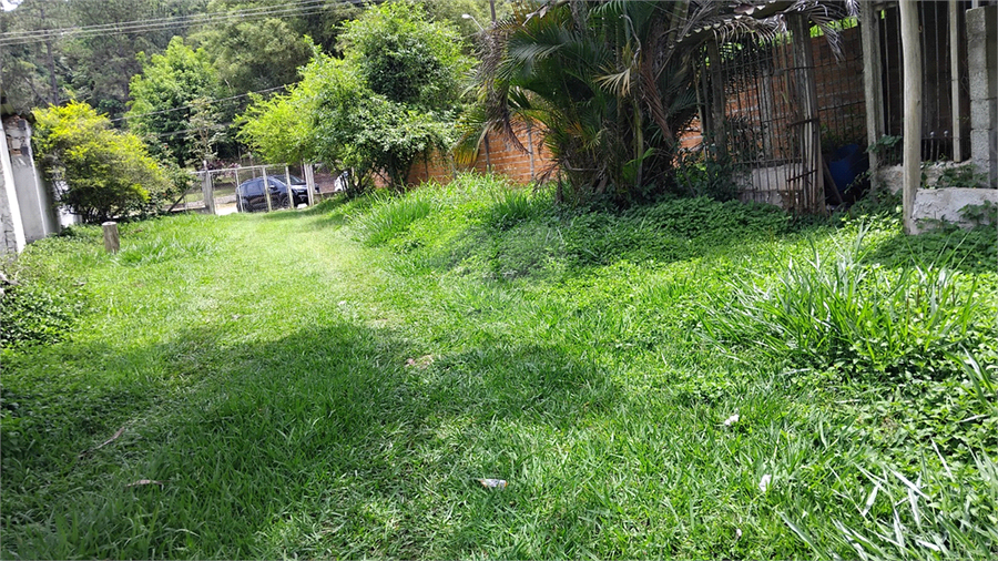 Foto REO1121190