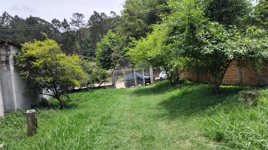 Foto REO1121190
