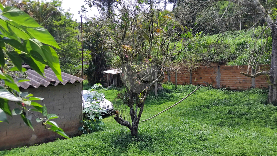 Foto REO1121190