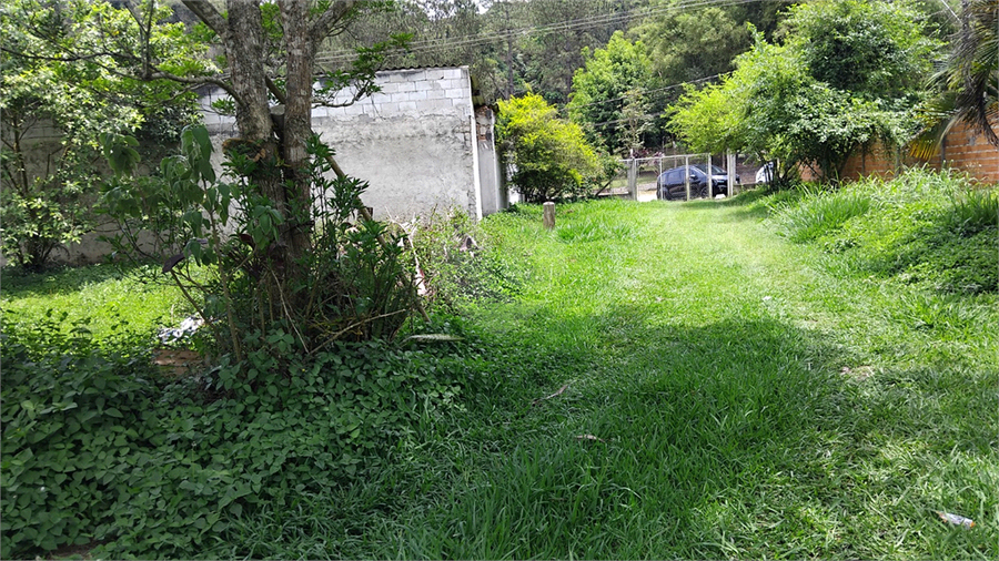 Foto REO1121190