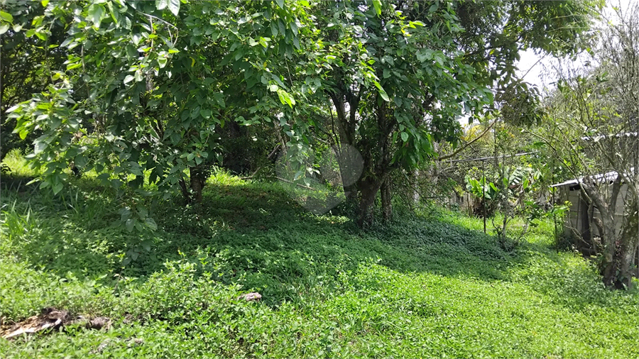 Foto REO1121190