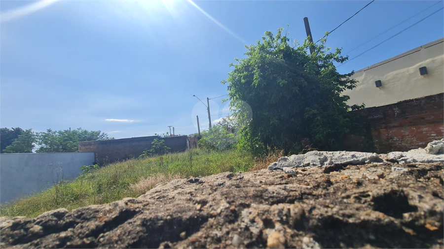 Foto REO1121191