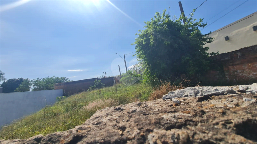Foto REO1121191
