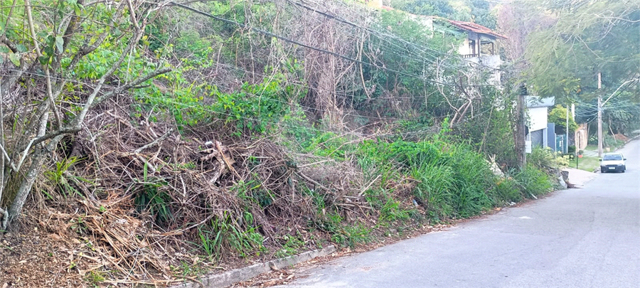 Foto REO1121229