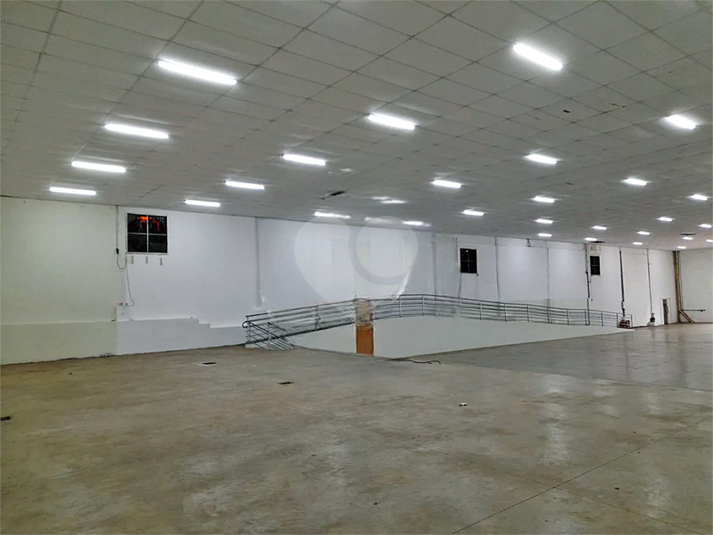 Foto REO1121243