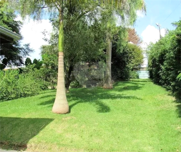 Foto REO1121245