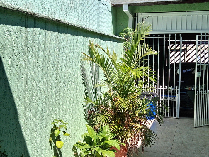 Foto REO1121269