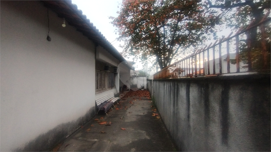 Foto REO1121271