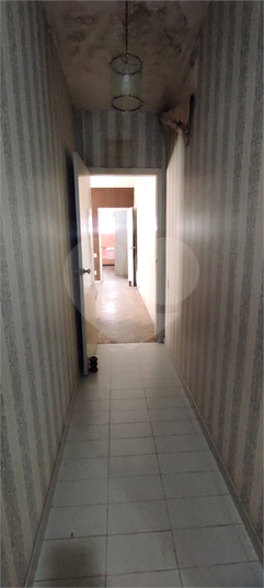 Foto REO1121286
