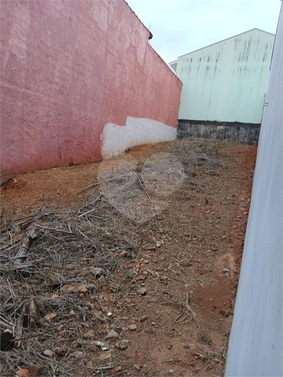 Foto REO1121287
