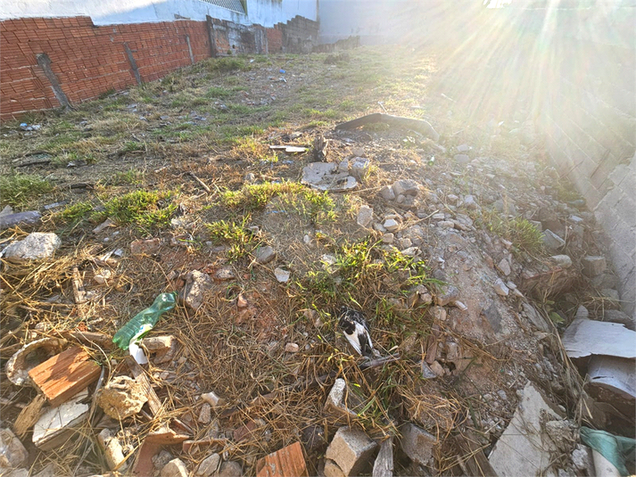 Foto REO1121319