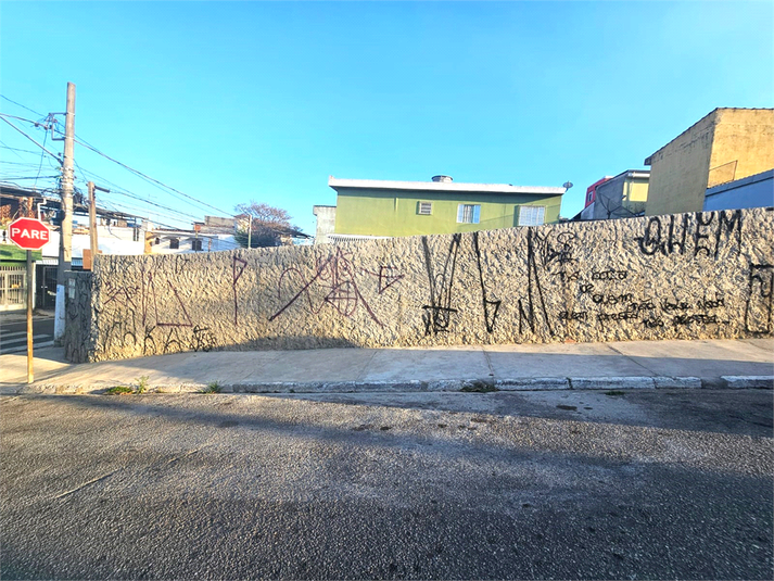 Foto REO1121319