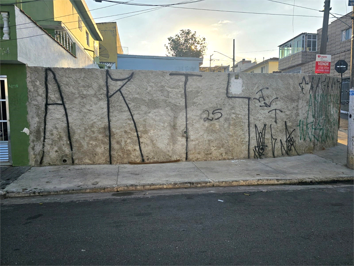Foto REO1121319
