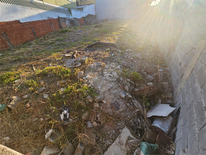 Foto REO1121319