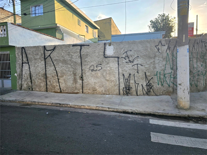 Foto REO1121319