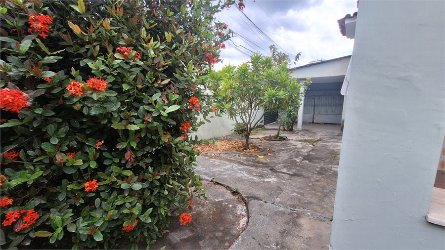 Foto REO1121323