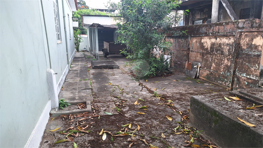 Foto REO1121323