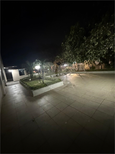 Foto REO1121324