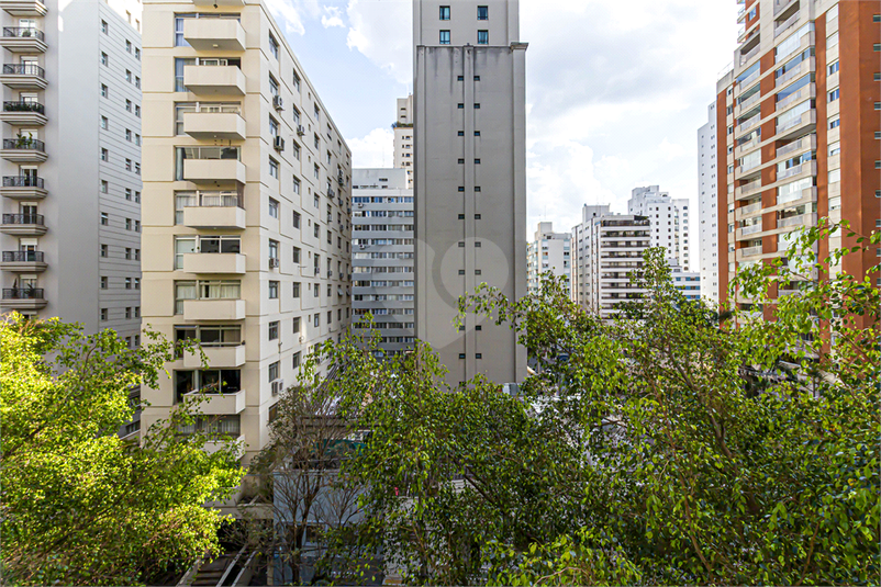 Foto REO1121338