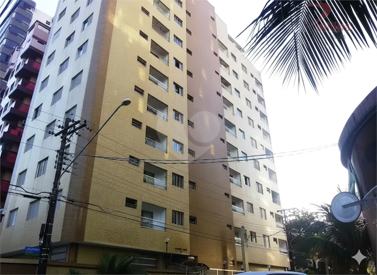 Foto REO1121348