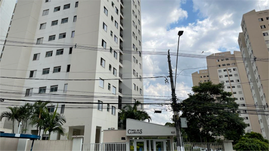 Foto REO1121354