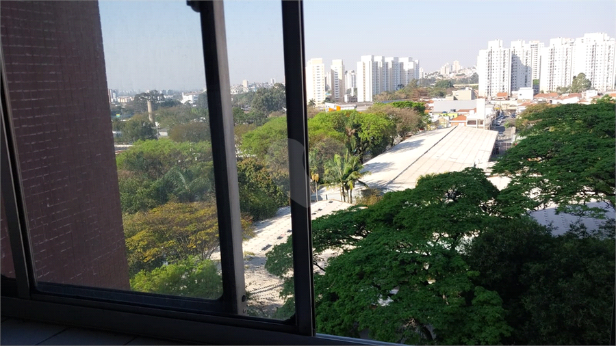 Foto REO1121356