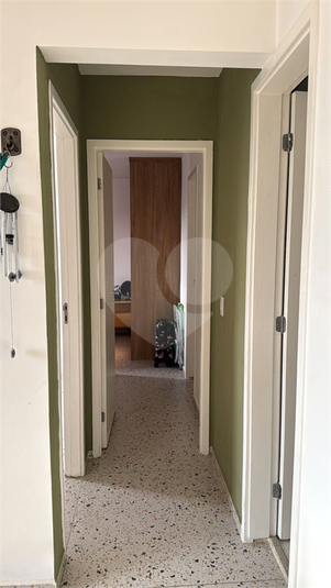 Foto REO1121362