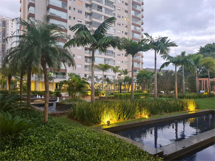 Foto REO1121382