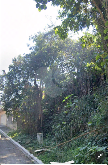 Foto REO1121392