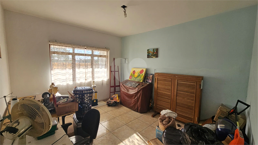 Foto REO1121396