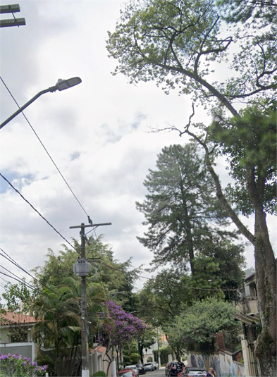 Foto REO1121410