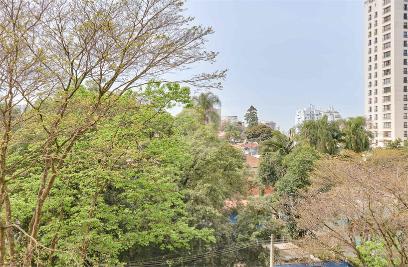 Foto REO1121414