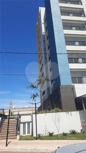 Foto REO1121427