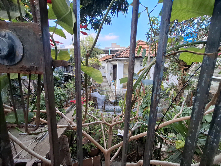 Foto REO1121431
