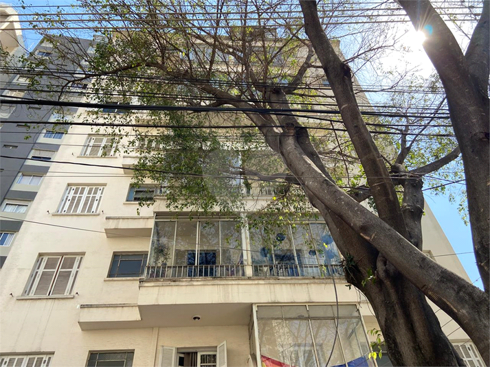 Foto REO1121433
