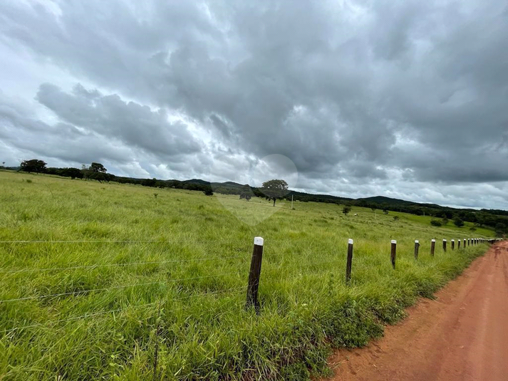 Foto REO1121435