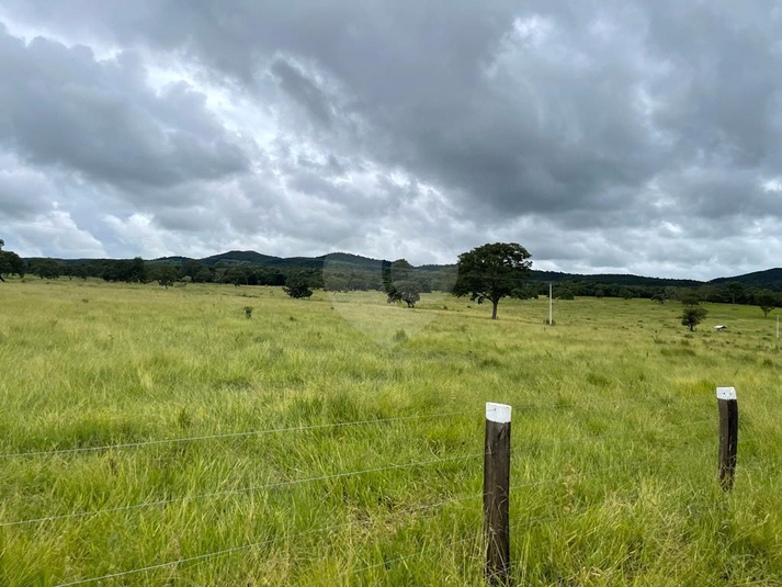 Foto REO1121435