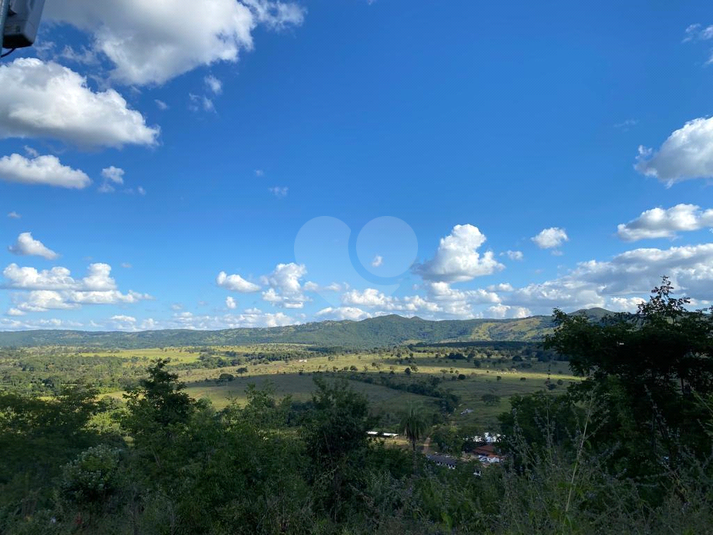 Foto REO1121435